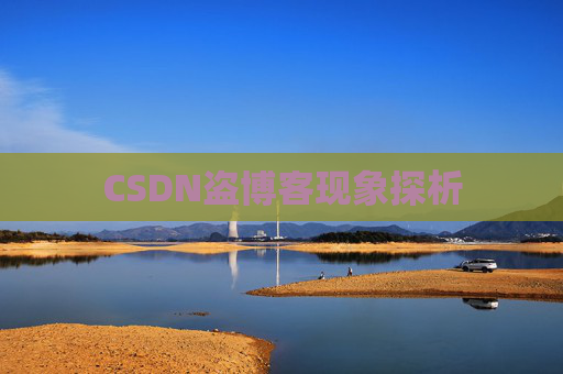 CSDN盗博客现象探析